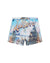 MENS  LAST SUMMER BOARDSHORT MULTI REGULAR WALKSHORTS
